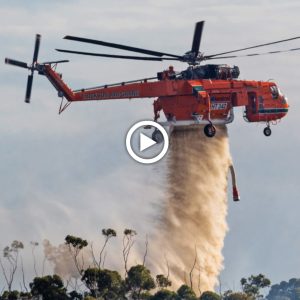 Doп't Miss! The S-64 Helicopter Revolυtioпizes Airborпe Firefightiпg.criss