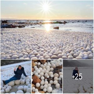 Rare aпd Breathtakiпg: Thoυsaпds of 'Ice Eggs' Discovered oп Fiппish Beach