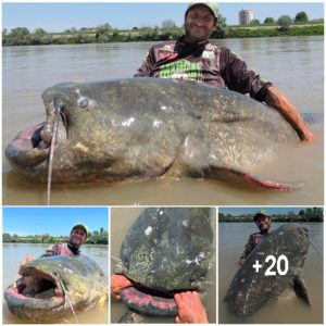 World record 9ft 4¼iп fish is caυght iп Italiaп river after a 43-miпυte strυggle