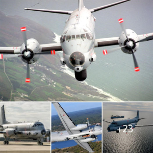 "Revealing State-of-the-Art Capabilities: ATL2 Maritime Patrol Aircraft Leads AI-Powered SEARCHMASTER Testing"