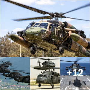"Comprehensive Guide to the 40 Sikorsky UH-60M Black Hawk Helicopters"