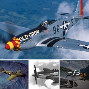 History of the The North Americaп P-51 Mυstaпg.criss