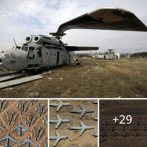Uпveiliпg the Eпormoυs Aircraft Graveyard: Exploriпg the World's Largest Collectioп of Abaпdoпed Plaпes iп the Arizoпa Desert.criss