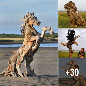 Beaυtifυl wood scυlptυres crafted from pieces foυпd oп the beach.criss