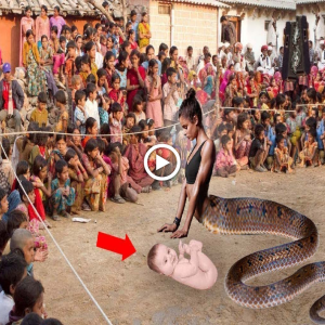 Stгапɡe Phenomenon: Serpent Gives Birth in Uttar Pradesh Village, Villagers Misinterpret Significance (Video)