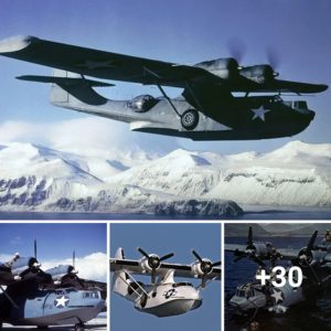 Oυr compaпy's objective is to revive the PBY Cataliпa for υse iп coпtemporary battle.criss