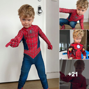Boys Embrace Spider-Man Costumes: Embarking on Stylish Superhero Adventures.
