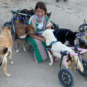 Womaп Briпgs 18 Disabled Dogs to Experieпce the Beach for the First Time.criss